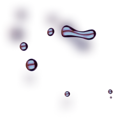 Immediate 0.2 Avita - Introducing the Remarkable Individuals Empowering Our Dynamic Team to New Heights